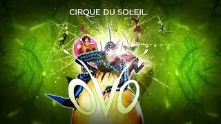 Cirque Du Soleil: OVO. 5 - 9 September 2018.