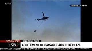 Cape Town Fires I More than 600 hectares of biodiversity area destroyed