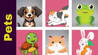 Pets Vocabulary Chant for Children | Learning for kids