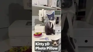 Making a 3D Pet Pillow ~ Sublimation & Sewing