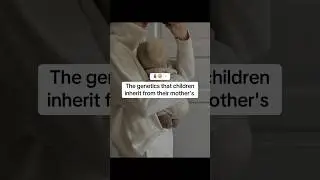 🤰🏼The genetics that children inherit from their mothers #usa #baby