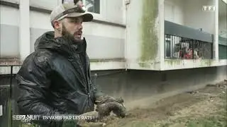 D&eacute;ratisation &eacute;cologique : D&eacute;couvrez la m&eacute;thode Predal SAS vue dans Sept &agrave; Huit Life (TF1)