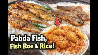 Ilish fish details explain full 2026