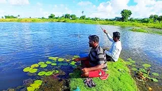 Amazing Murrel Fishing By Sand Worms | Big Tilapia Fishing & Murrel Fishing in Village |Hook Fishing