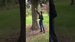 Tree ID Video - White Cedar