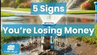 5 Warning Signs Your Sprinkler System Is Wasting Water (and Money) | Irrigation Tips