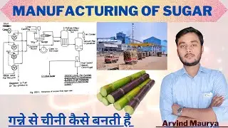 Manufacturing of Sugar Flowsheet | Sugar manufacturing Process in Hindi |@rasayanclasses