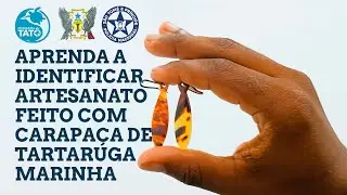 👀 Aprenda a identificar artesanato feito com carapaça de Tartaruga Marinha