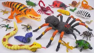 ZURU ROBO ALIVE COLLECTION | UNBOXING RC Crocodile, New Robo Alive Tarantula Spider, Snake creepers