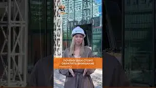 Эксклюзив от Tsurkava Property. В продаже студия в ЖК &laquo;Next Apartments&raquo; на улице Инасаридзе