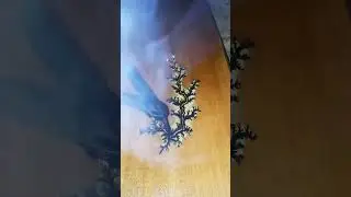 Lichtenberg Figur made im Odenwald / Holzdesign / Lichtenberg Effekt / Woodburning