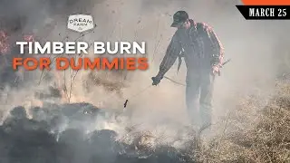 Mar. 24: Timber Burning for Dummies - How to Get Started | Dream Farm w/ Bill Winke