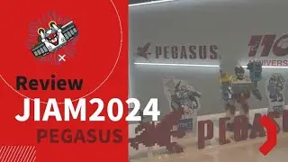[PEGASUS] JIAM2024_Review