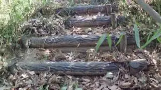 群馬県前橋市　荻窪城