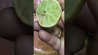 watermelon juice#mini #drink #summer #summer time #short video