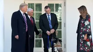 Trump welcomes hero dog at the White House: 'Conan is a tough cookie'