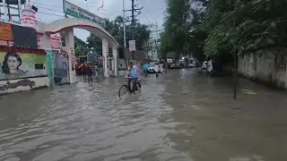 सीतामढ़ी में भारी बारिश से जनजीवन प्रभावित, रिहायशी इलाकों से लेकर गली-गली में पानी, देखें रिपोर्ट