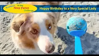 Sadie's Beach Birthday Celebration  (Day 03 of ReinMan's 14-Day Artsy Fartsy Challenge)