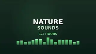 Nature Sounds for Relaxation - 1h Soothing Ambient Sounds