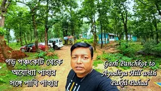Ayodhya Hill Top || Pakhi Pahar || Hotel Ayodhya - Banalata