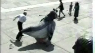Trigger Happy TV - Aggresive Pigeon!