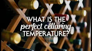 What Is The Perfect Cellaring Temperature?