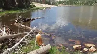 Clyde Lake Loop July 22 2017