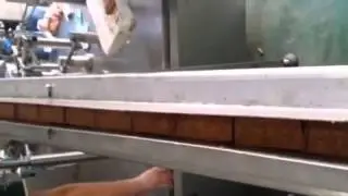 Fully automatic packaging line with Vibration Plate (Dried Tofu)