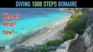 Diving 1000 Steps Bonaire | The Shore Dive Collection | TropicLens - 4K