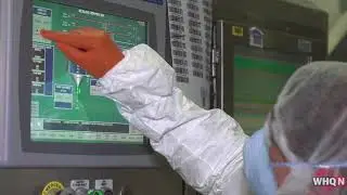 All Plant Protein Powder production | WHQ News