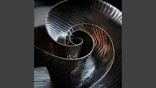 carbon skin
