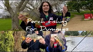 Catching Redfin Perch in New Zealand | Beginners Guide + Epic Fishing Session!