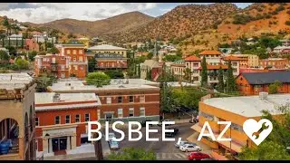 The 1998 Bisbee Arizona Killer Bee Attack: Storytime #7.