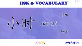 [HSK 5 201-300] Kosakata HSK 5 MRY | Chinese Vocabulary HSK 5  | 汉语水平考试 五 生词