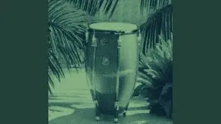 CHAPUZ&Oacute;N