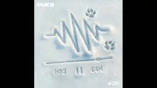 Padi (페디) - Never Mind [Press Winter]
