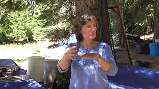 DIY Humic Acid with Dr  Elaine Ingham | The Advanced Permaculture Student Online