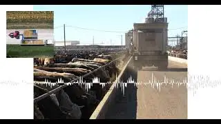 Closing livestock market commentary with David Ericson of Ag Optimus (10/13)
