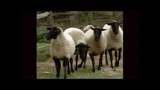 Fall Travel Guide - Autumn in Bucks County, Pennsylvania
