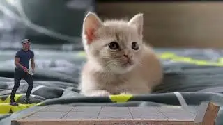 240, 480, 960 FPS. 