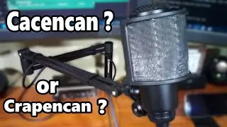 Cacencan Low Profile Boom Arm, Low Effort Review (NOT sponsored...)