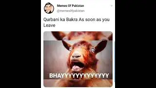 Qurbani ka bakra Viral meme #eiduladha