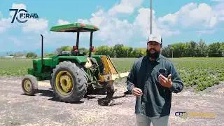 Des-compactaci&oacute;n de Suelo en Cultivo de Frijol