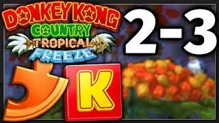 Donkey Kong Country Tropical Freeze 2-3 KONG-LETTERS AND PUZZLE PIECES