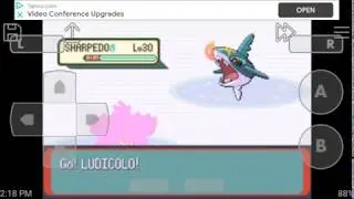 Pok&eacute;mon Emerald rematch vs swimmer 🚹 tony