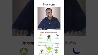 #NUX VOMICA SHORT
