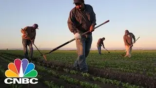 The Economic Costs Of An Immigration Crackdown | CNBC