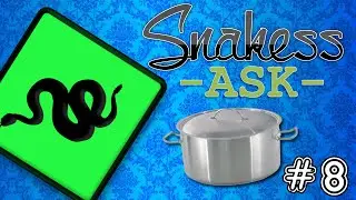 Snakess Ask | #8 | Hrniec