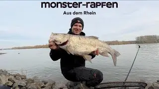 PB-Alarm 🚨- Diese Köder musst du haben!!!🎣🔥