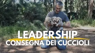 Come mantenere la leadership con il nostro cane? Il caso dei cuccioli di Juju.